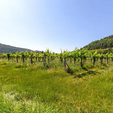 Beautiful In Smarje With Kitchen * Merisce