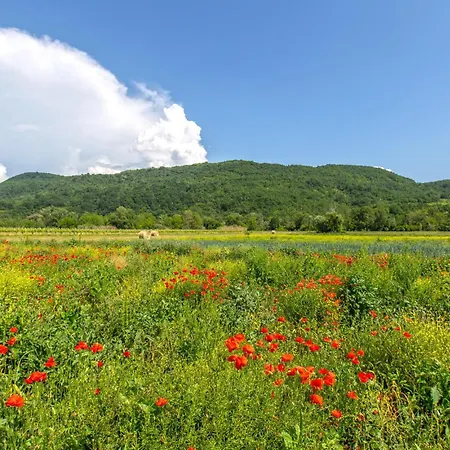 Feriehus Beautiful In Smarje With Kitchen