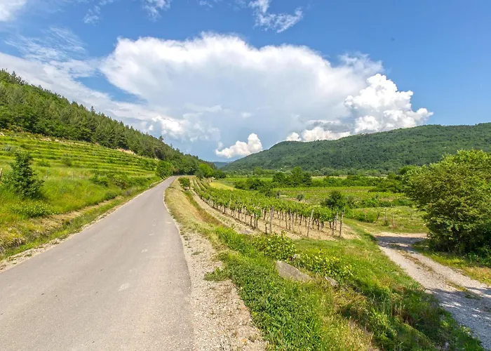 펜션 Beautiful In Smarje With Kitchen *