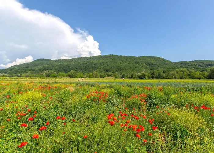 펜션 Beautiful In Smarje With Kitchen
